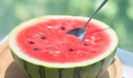 吃瓜网官网免费观看,热门剧集一网打尽！